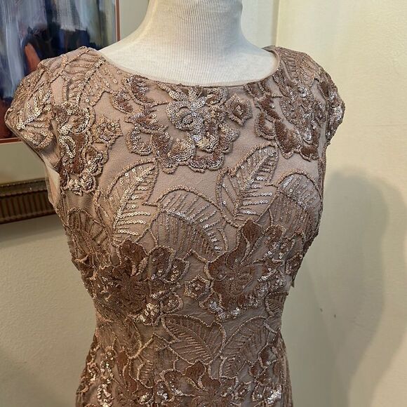 NWT Alex Evenings Champagne Lace Sequin Dress 6 - Picture 6 of 12